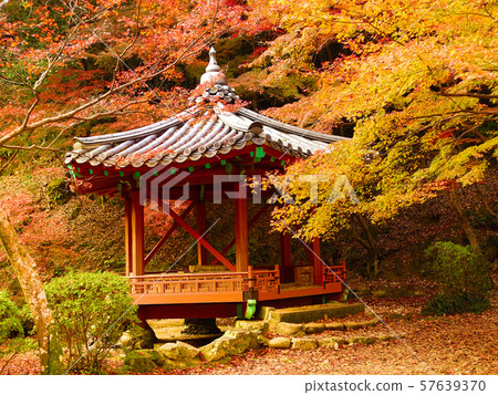 Momijidani Park (Yamaguchi Prefecture: Iwakuni) Momijidani Park (Yamaguchi Prefecture: Iwakuni) 57639370