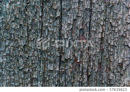 Cracking and peeling paint on a wall 57639823