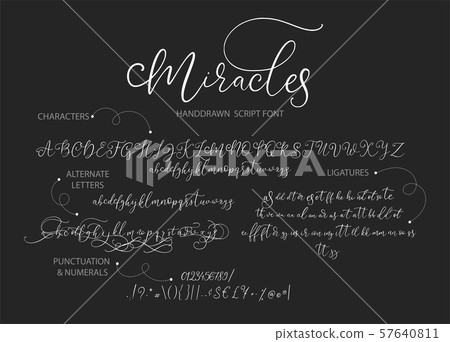 Hand drawn vector alphabet with letters. 57640811
