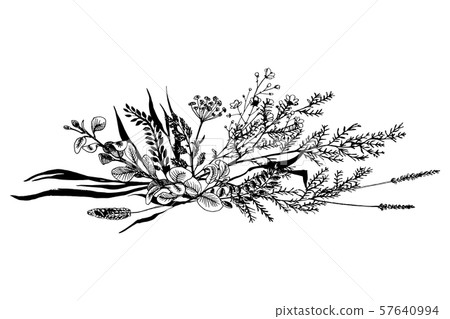 Wild herbs and flowers painted black line. Wild herbs and flowers painted black line. 57640994