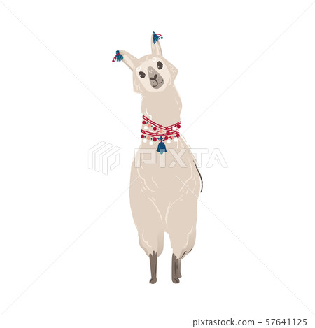 Cute animal llama or alpaca from Peru. 57641125