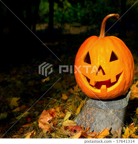 Pumpkin-head against a background of an autumn Pumpkin-head against a background of an autumn 57641314