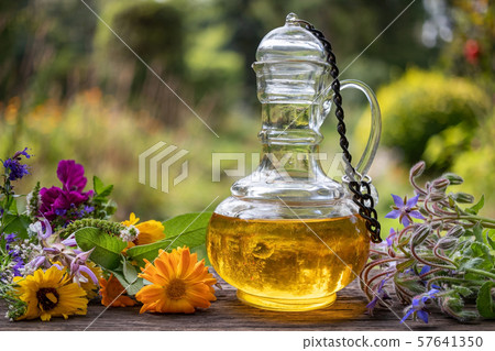 A bottle of oil with fresh borage, calendula 57641350