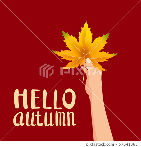 Hand hold autumn colorful leaf bright bouquet fall, floral. Hello Autumn lettering. Vector Hand hold autumn colorful leaf bright bouquet fall, floral. Hello Autumn lettering. Vector 57641363