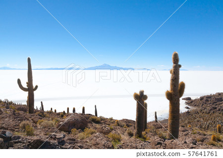 Salar de Uyuni view from Isla Incahuasi Salar de Uyuni view from Isla Incahuasi 57641761