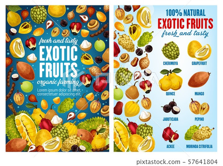 Exotic tropical fruits, farm market 57641804
