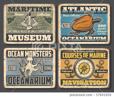 Octopus and turtle, compass and sextant posters 57641856