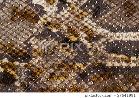 Texture of genuine matte rough leather close-up, embossed under the skin of scaly bright exotic Texture of genuine matte rough leather close-up, embossed under the skin of scaly bright exotic 57641991