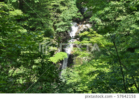  《鳥取縣》蘆津谷 57642158