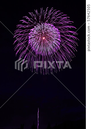 [Ibaraki Prefecture] Tsuchiura's fireworks Tsuchiura National Fireworks Games 57642505