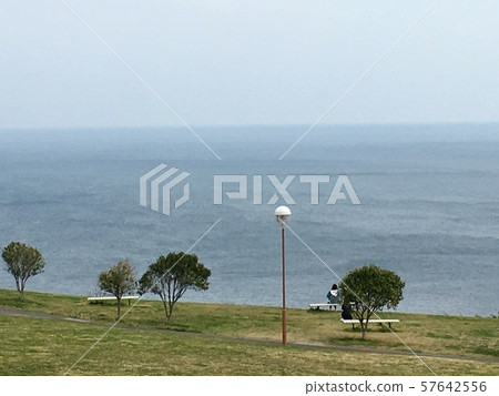 俯瞰大海的公園 俯瞰大海的公園 57642556