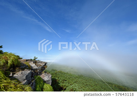 A white rainbow over the forest in Hokkaido A white rainbow over the forest in Hokkaido 57643118