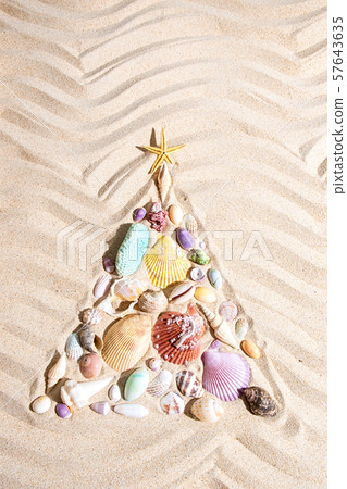 Christmas tree made from shells and corals on sand 57643635