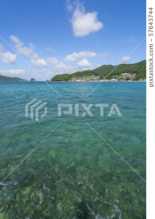 Shinjo Gotocho Aosa 57643744