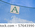 A board 57643990