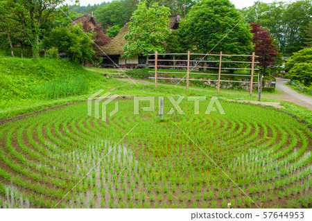 Hida's railway 57644953