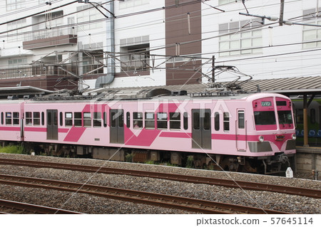 [RN] 流山線 5000 系列櫻花（馬橋⇔流山） 57645114