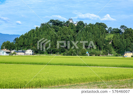 越前小野城 57646007