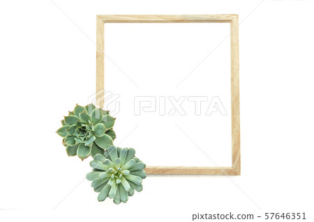 Square wood frame with green succulent plant pots on left side of frame ,white background 57646351