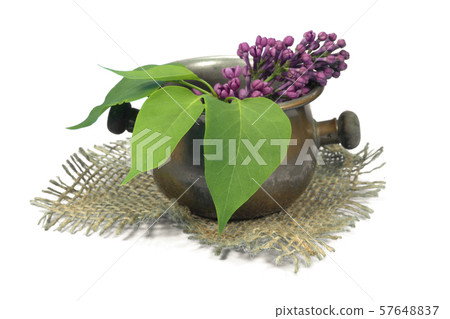Purple lilac blossoms in a brass pot 57648837
