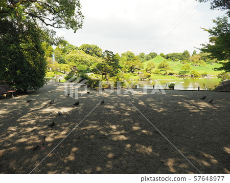 Suizenji Park kumamoto suizenji 57648977