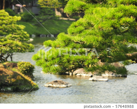 Suizenji Park kumamoto suizenji 57648988