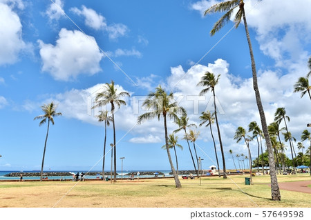 Holidays in Hawaii 57649598