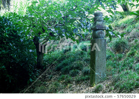 高野山徑 57650029