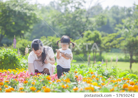 Gardening parent and child Gardening parent and child 57650242