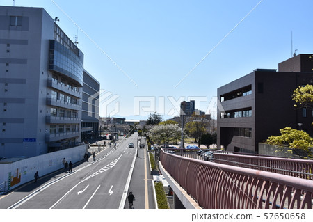 茅崎市政廳 57650658