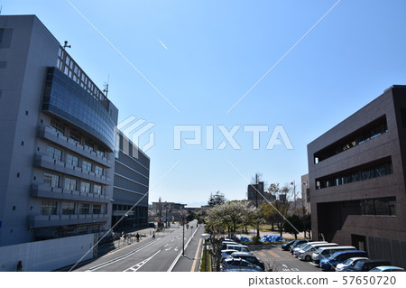 茅崎市政府分館文化廳 57650720