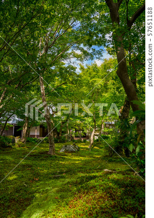 Ryoji Temple 57651188