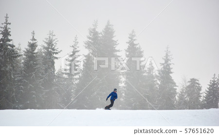 Man sportsman snowboarding on flat snow-covered road in coniferous forest in heavy snowfall 57651620