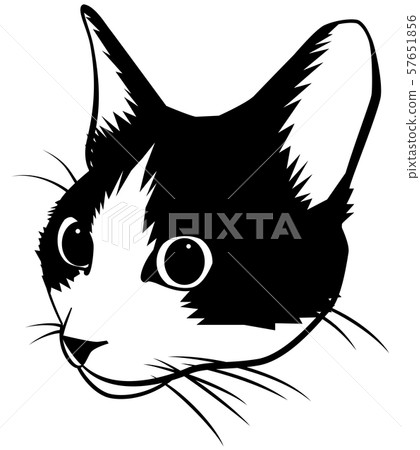 Hachikawa貓臉 57651856