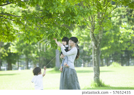 在公園裡玩的家庭 在公園裡玩的家庭 57652435