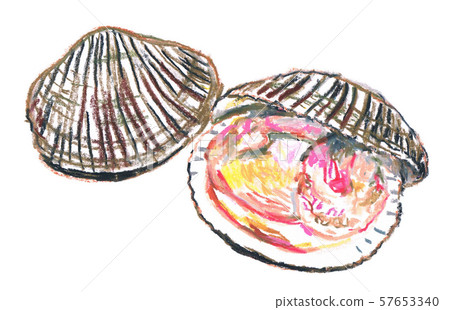 ark shell 57653340