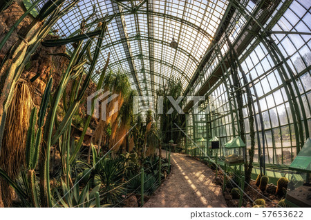 desert house in schonbrunn garden desert house in schonbrunn garden 57653622