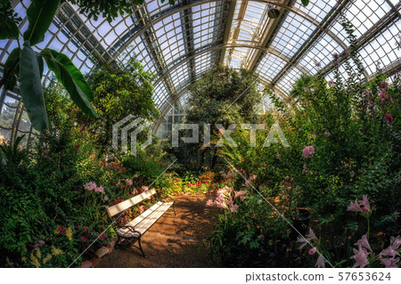 bench in schonbrunn palmenhaus bench in schonbrunn palmenhaus 57653624