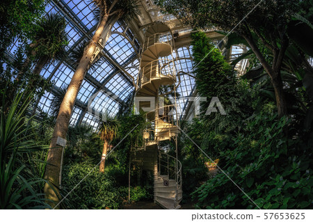 palmenhaus schonbrunn staircase palmenhaus schonbrunn staircase 57653625
