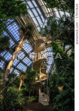 palmenhaus schonbrunn staircase 57653626