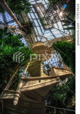 palmenhaus schonbrunn staircase palmenhaus schonbrunn staircase 57653628