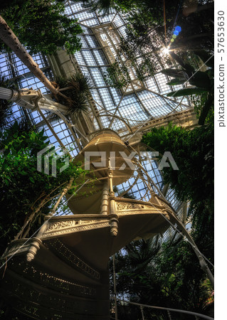 palmenhaus schonbrunn staircase palmenhaus schonbrunn staircase 57653630