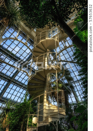 palmenhaus schonbrunn staircase palmenhaus schonbrunn staircase 57653632