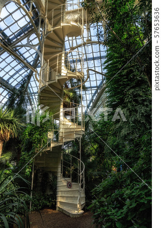 palmenhaus schonbrunn staircase palmenhaus schonbrunn staircase 57653636