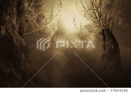 Spooky Tree in Night Mist - Stock Illustration [57654298] - PIXTA