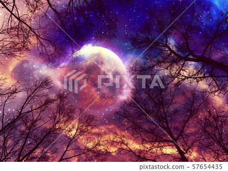 Leafless branches and full moon 57654435