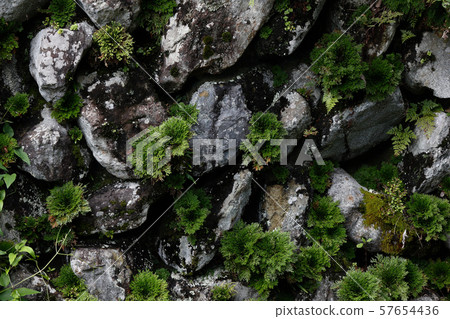 Rocks and rocks 57654436