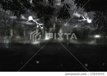 Gate at Rainy Night 57654553