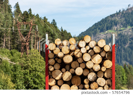 Truck carries wooden logs of pine trees - Italian Alps Truck carries wooden logs of pine trees - Italian Alps 57654796