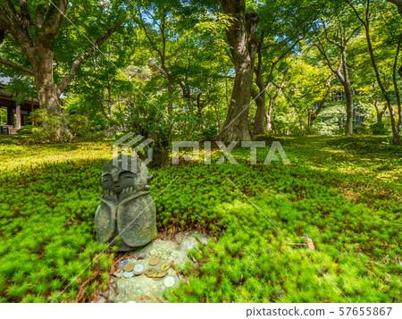 Kyoji Temple 57655867